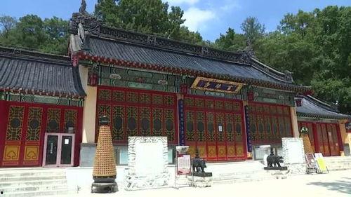 战犯牌位爆料视频大全最新,最新爆料视频大全深度解析
