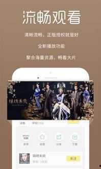 陈公子爆料视频全集下载,揭秘幕后真相，带你走进事件全貌  第2张