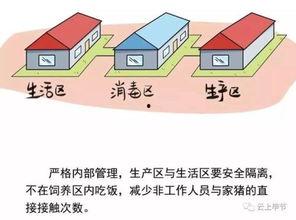 非洲猪瘟最新爆料,揭秘病毒传播与防控策略
