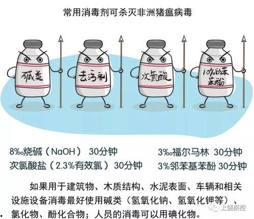 非洲猪瘟最新爆料,揭秘病毒传播与防控策略  第3张