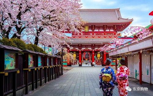 爆料日本神社视频大全下载,视频大全下载解析