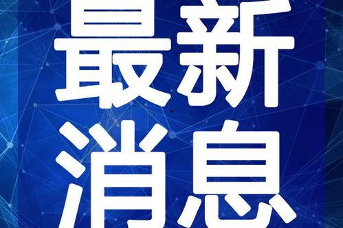衡阳热点爆料事件视频最新,视频揭露惊人真相，事件引发社会关注！
