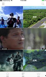 吃瓜网猎奇视频下载免费,揭秘吃瓜网猎奇视频下载免费背后的秘密