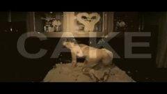 爆料明星八卦预告视频,明星八卦预告视频揭秘，精彩内容抢先看！  第2张