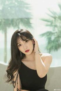 柳岩爆料娱乐圈,揭秘明星背后的真实故事  第3张