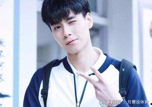 胡一天表情包新闻爆料,揭秘明星网络效应背后的真相  第2张