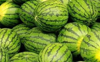 最大免费吃瓜网  第2张